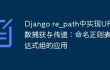 Django re_path中实现URL参数捕获与传递：命名正则表达式组的应用