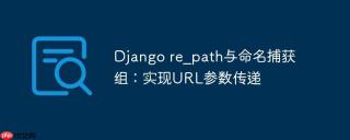 Django re_path与命名捕获组：实现URL参数传递
