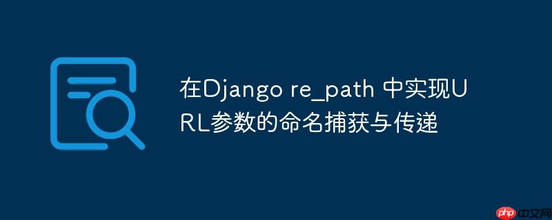 在Django re_path 中实现URL参数的命名捕获与传递-小浪学习网