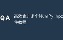 高效合并多个NumPy .npz文件教程