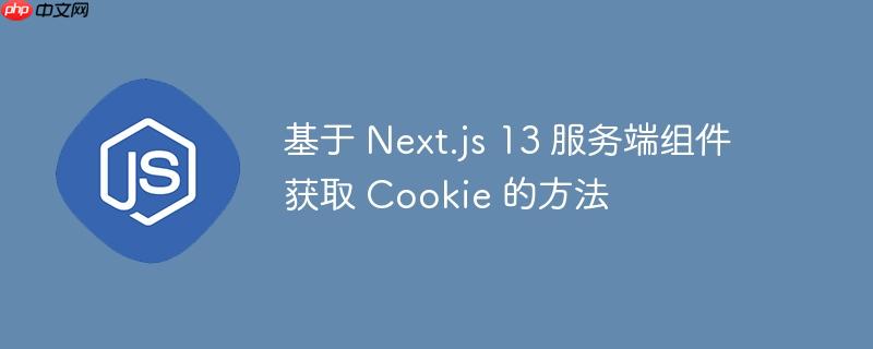 基于 next.js 13 服务端组件获取 cookie 的方法