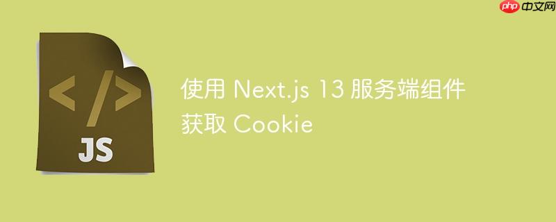 使用 next.js 13 服务端组件获取 cookie