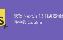 获取 Next.js 13 服务器端组件中的 Cookie