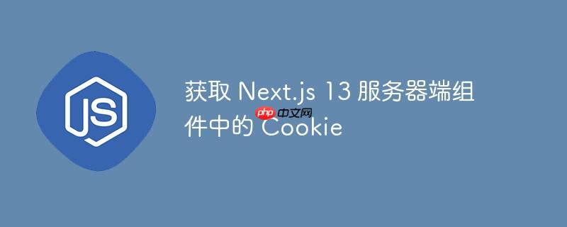 获取 next.js 13 服务器端组件中的 cookie