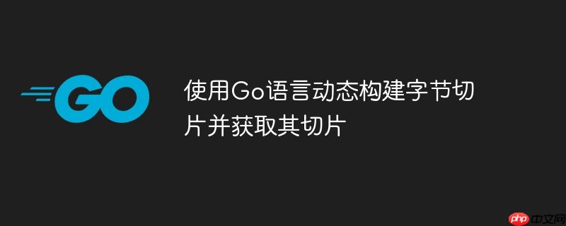 使用go语言动态构建字节切片并获取其切片