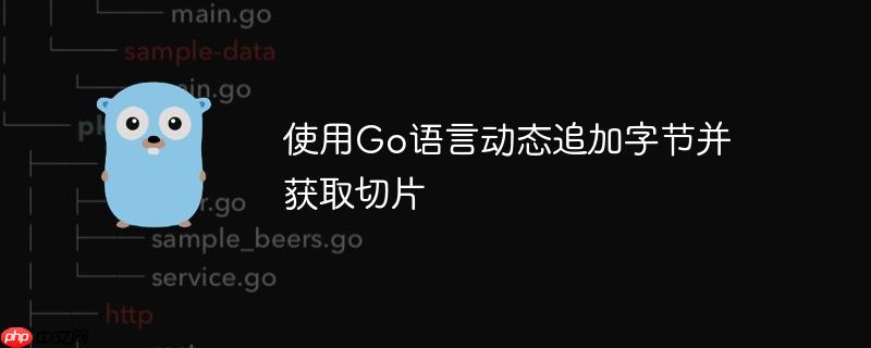 使用go语言动态追加字节并获取切片