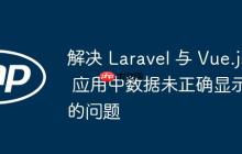 解決 Laravel 與 Vue.js 應(yīng)用中數(shù)據(jù)未正確顯示的問(wèn)題