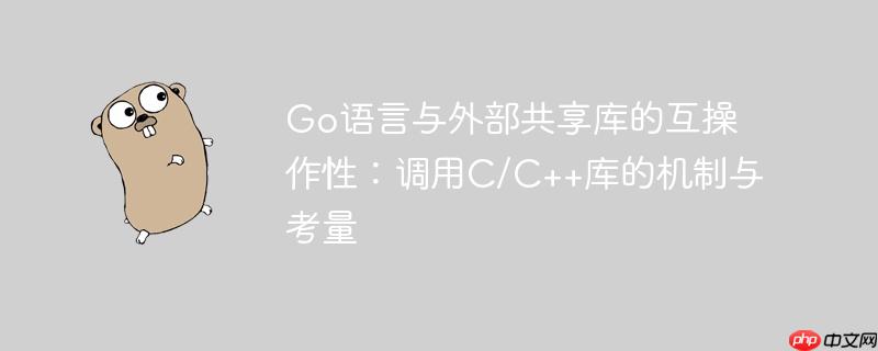 Go语言与外部共享库的互操作性：调用C/C++库的机制与考量
