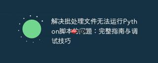 解决批处理文件无法运行Python脚本的问题：完整指南与调试技巧