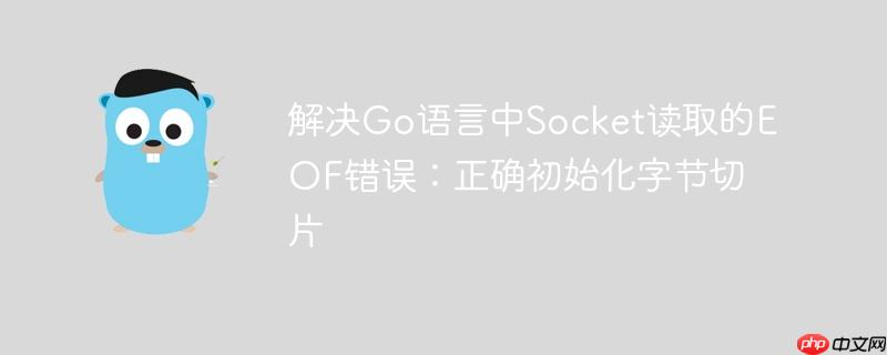 解决Go语言中Socket读取的EOF错误：正确初始化字节切片