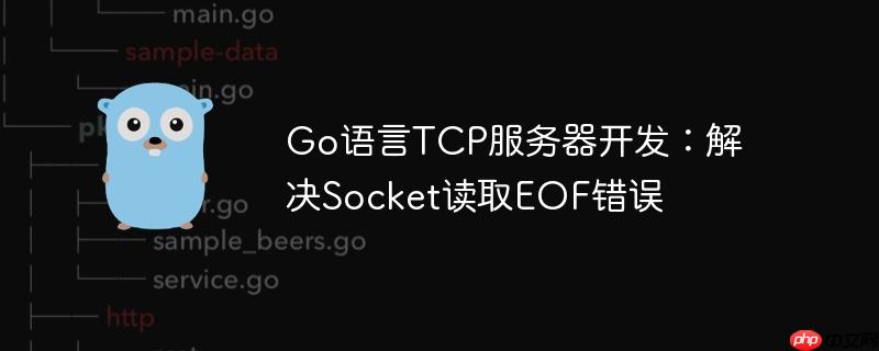 Go语言TCP服务器开发：解决Socket读取EOF错误