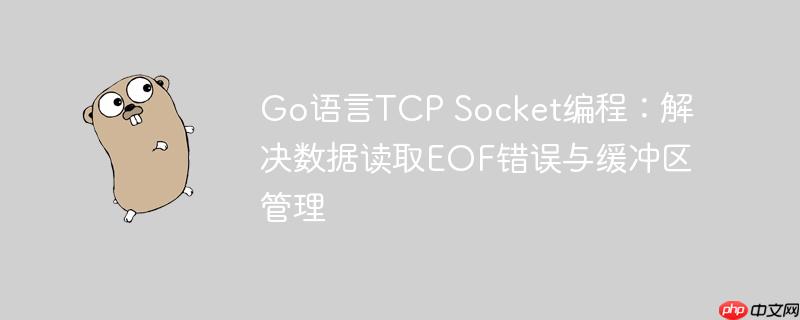 Go语言TCP Socket编程：解决数据读取EOF错误与缓冲区管理