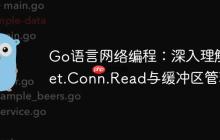 Go语言网络编程：深入理解net.Conn.Read与缓冲区管理