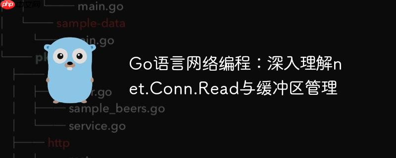 Go语言网络编程：深入理解net.Conn.Read与缓冲区管理
