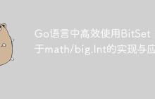 Go语言中高效使用BitSet：基于math/big.Int的实现与应用
