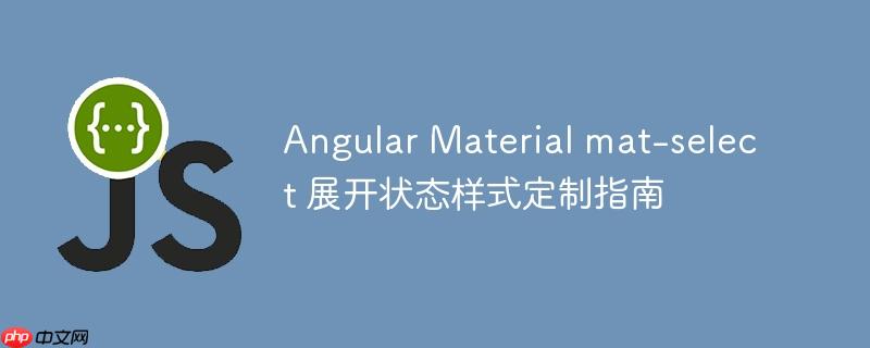 Angular Material mat-select 展开状态样式定制指南