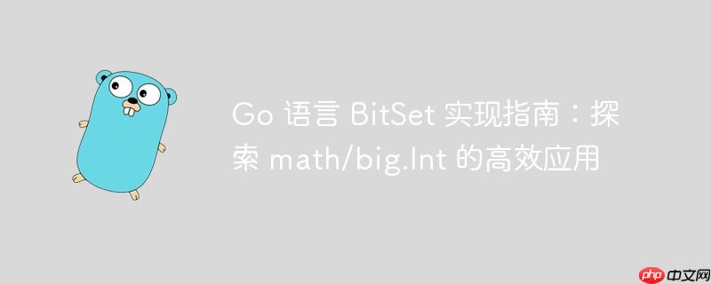 Go 语言 BitSet 实现指南：探索 math/big.Int 的高效应用
