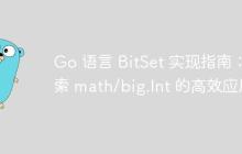 Go 语言 BitSet 实现指南：探索 math/big.Int 的高效应用