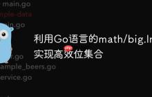 利用Go语言的math/big.Int实现高效位集合