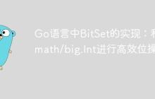 Go语言中BitSet的实现：利用math/big.Int进行高效位操作