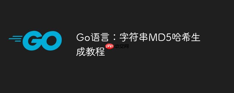 Go语言：字符串MD5哈希生成教程
