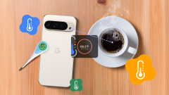 You Don't Need a Thermometer to Measure Temperature, Your Pixel Phone Can Do That