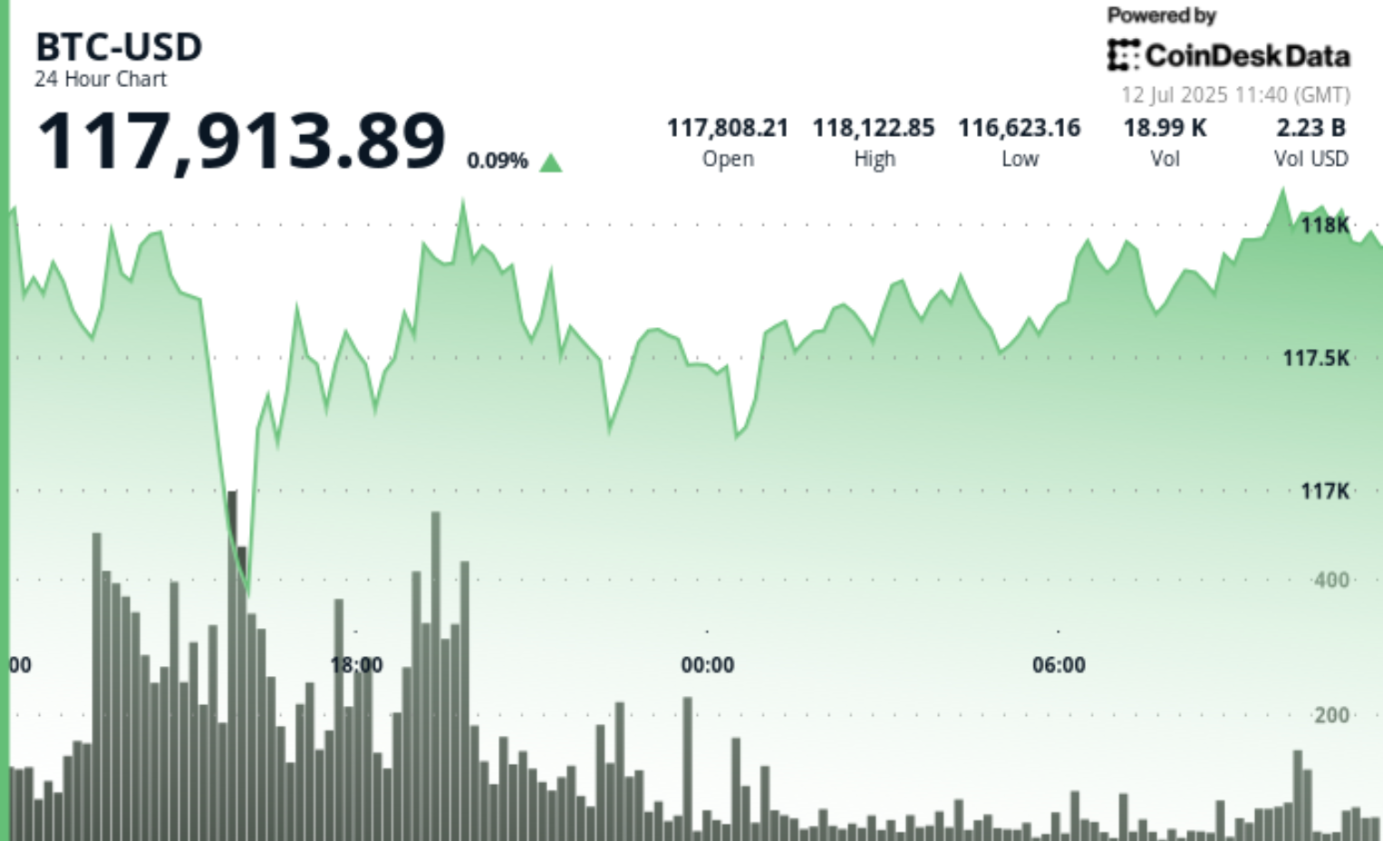 比特币价格、对冲基金与詹姆斯·拉维什：解码加密货币之谜