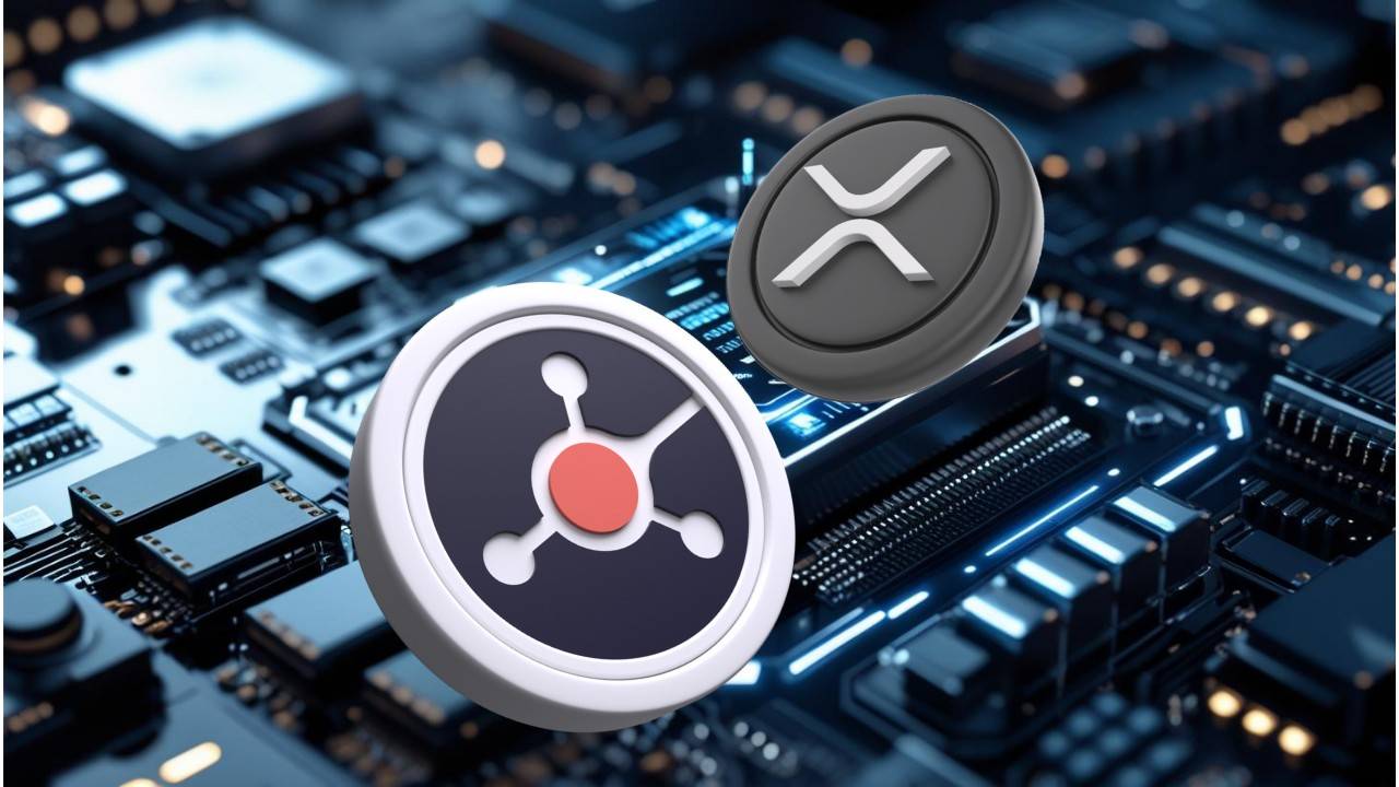 Ruvi AI 与 Ripple:接受审计的代币成为焦点