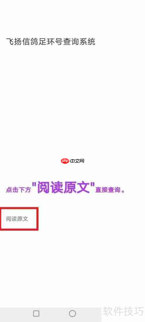 飞扬足环成绩查询方法