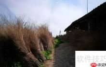 跟團旅游和自助旅游，哪種方式更適合你？