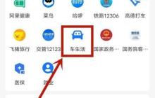 廣州搖號申請攻略：詳細步驟教你輕松搞定！