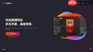 抖音直播伴侣是什么