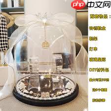 B站哪里能看大片官网入口