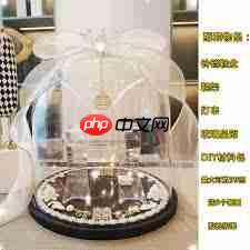 B站哪里能看大片官网入口