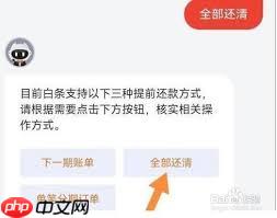 京东白条如何一次还清全部欠款