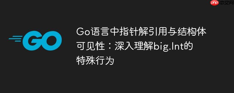 Go语言中指针解引用与结构体可见性：深入理解big.Int的特殊行为