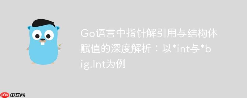go语言中指针解引用与结构体赋值的深度解析：以*int与*big.int为例