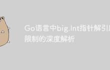 Go语言中big.Int指针解引用限制的深度解析
