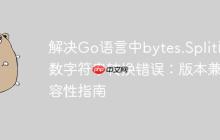 解决Go语言中bytes.Split函数字符串转换错误：版本兼容性指南