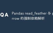 Pandas read_feather 与 pyarrow 的强制依赖解析