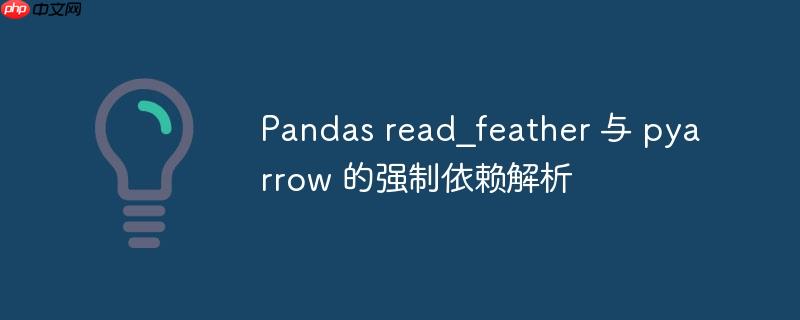 Pandas read_feather 与 pyarrow 的强制依赖解析
