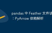 pandas 中 Feather 文件读写：PyArrow 依赖解析