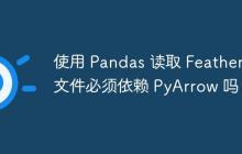 使用 Pandas 读取 Feather 文件必须依赖 PyArrow 吗？