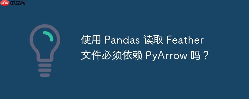 使用 pandas 读取 feather 文件必须依赖 pyarrow 吗？