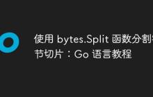 使用 bytes.Split 函数分割字节切片：Go 语言教程