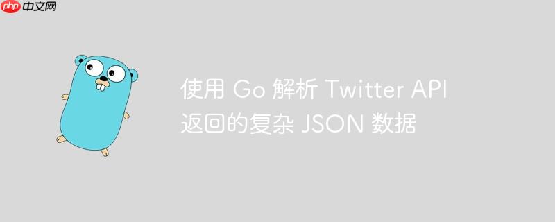 使用 Go 解析 Twitter API 返回的复杂 JSON 数据