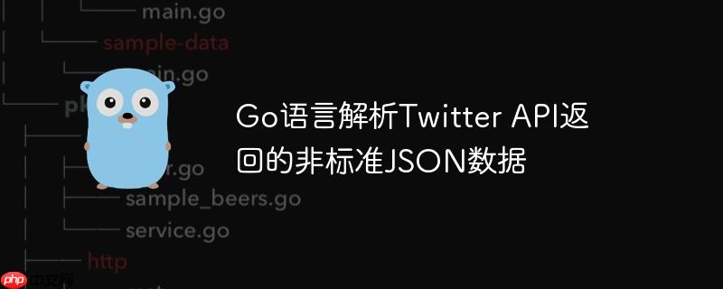 go语言解析twitter api返回的非标准json数据