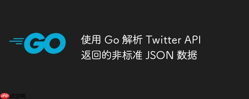 使用 Go 解析 Twitter API 返回的非标准 JSON 数据