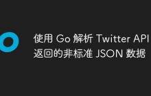 使用 Go 解析 Twitter API 返回的非标准 JSON 数据