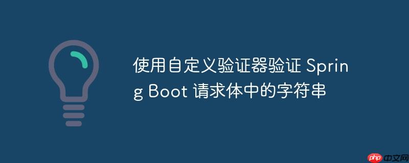 使用自定义验证器验证 spring boot 请求体中的字符串